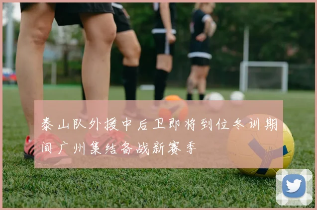 泰山队外援中后卫即将到位冬训期间广州集结备战新赛季